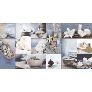 Gạch ốp tường Trường Thịnh GENESIS SERIES TT36061-2